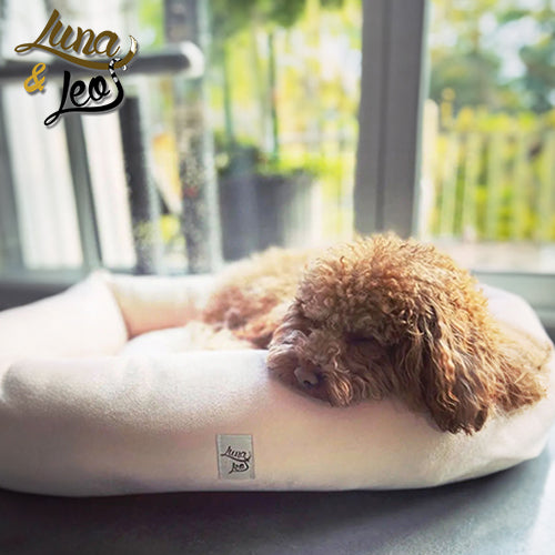 犬用ベッド Leo & Lunaレオエルナ ペット用ベッド -ベルベット