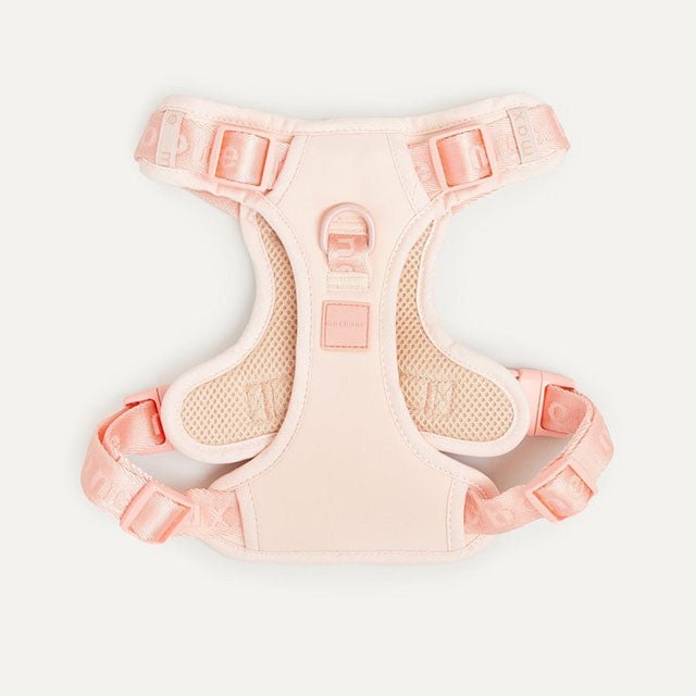 ペット販売｜maxbone 全てのアイテム ｜ おしゃれで高品質な用品