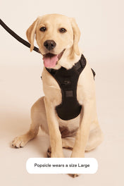 maxbone 犬用 イージーフィットハーネス｜ペット用首輪・ハーネス｜maxbone 犬用 イージーフィットハーネス｜ペット用首輪・ハーネス