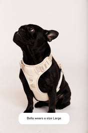 maxbone 犬用 イージーフィットハーネス｜ペット用首輪・ハーネス｜maxbone 犬用 イージーフィットハーネス｜ペット用首輪・ハーネス