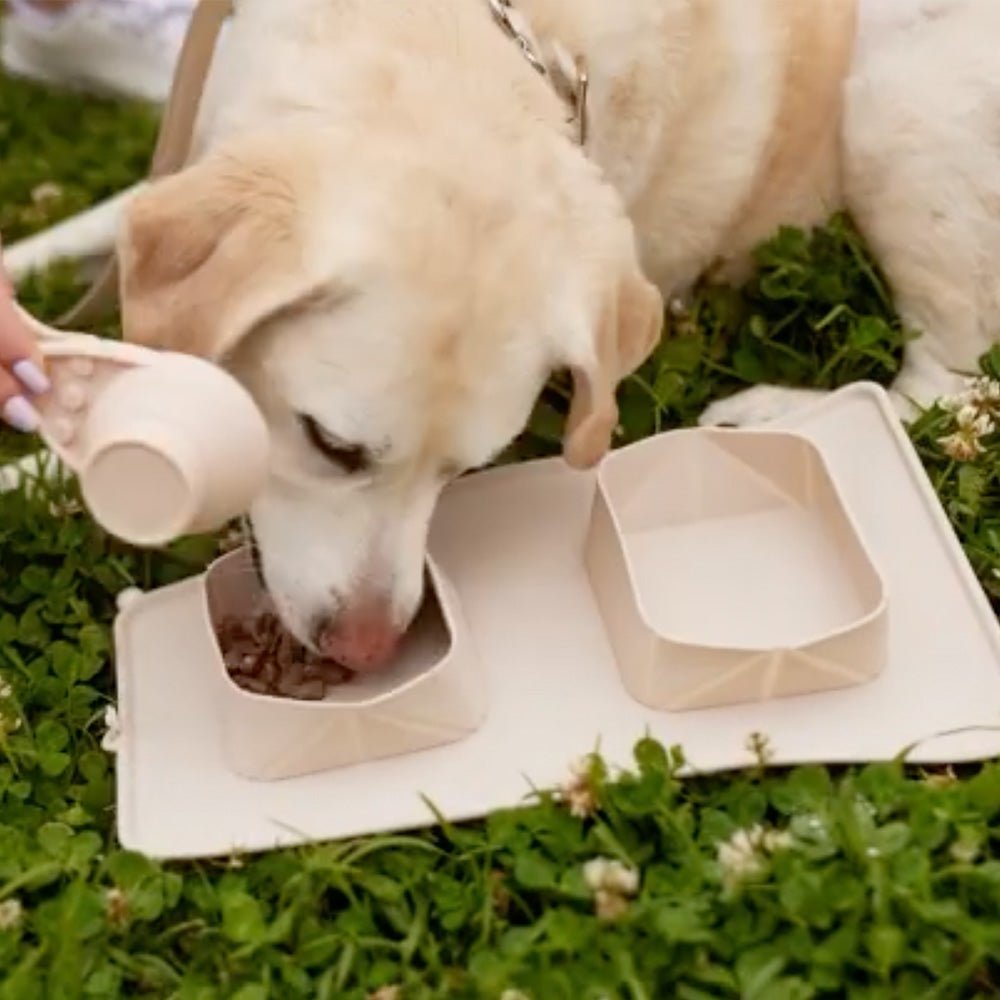 maxbone ポータブルボウル｜ペット用食器