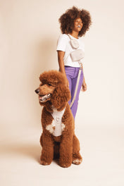 maxbone 犬用 イージーフィットハーネス｜ペット用首輪・ハーネス｜maxbone 犬用 イージーフィットハーネス - Alice's Dog & Catproduct_type