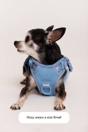 maxbone 犬用 イージーフィットハーネス｜ペット用首輪・ハーネス｜maxbone 犬用 イージーフィットハーネス｜ペット用首輪・ハーネス