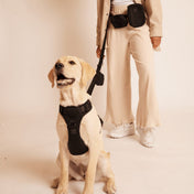maxbone 犬用 イージーフィットハーネス｜ペット用首輪・ハーネス｜maxbone 犬用 イージーフィットハーネス｜ペット用首輪・ハーネス