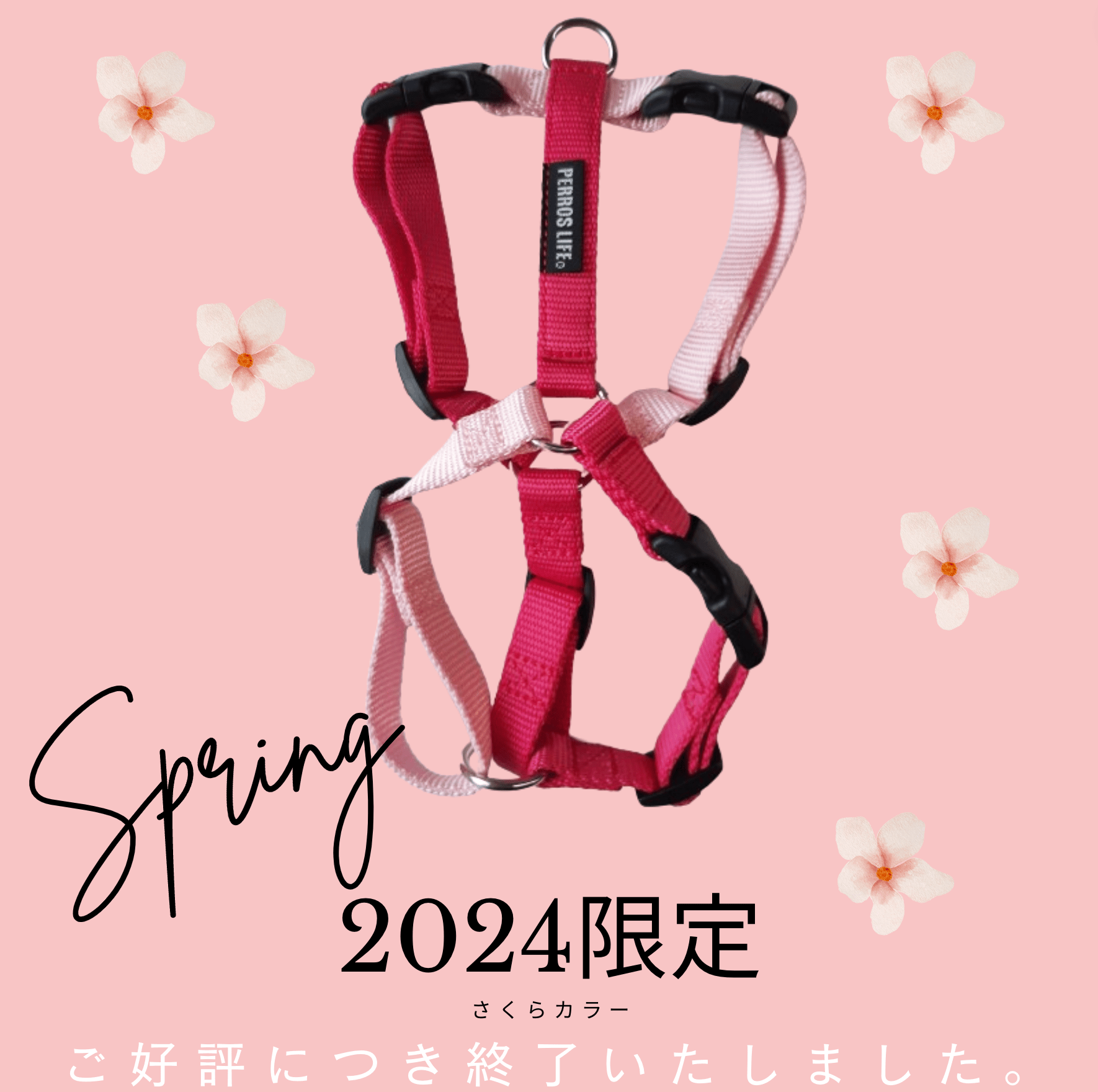 犬用ハーネス PERROS ペルロス 2024年数量限定さくらカラー｜ペット用首輪・ハーネス｜犬用ハーネス PERROS ペルロス 2024年数量限定さくらカラー - Alice's Dog & Cat