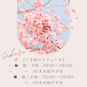 犬用ハーネス PERROS ペルロス 2026年数量限定さくらカラー｜ペット用首輪・ハーネス｜犬用ハーネス PERROS ペルロス 2026年数量限定さくらカラー