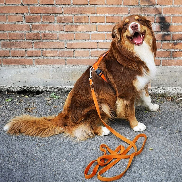 PERROS Dog Harness Front Opening Harness Orange 