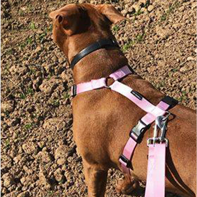 PERROS Dog Harness Front Opening Harness Powder Pink 