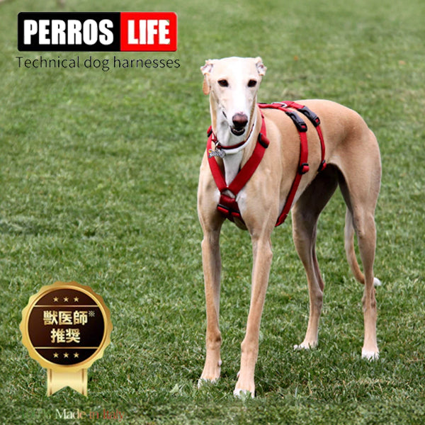 犬用ハーネス PERROS（ペルロス）ドピアッカハーネス 胸が深く腹部が細い犬用/グレーハウンド用　