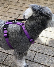 犬用ハーネス PERROS - 獣医師推奨ペルロスハーネス｜ペット用首輪・ハーネス｜犬ハーネス　バイオレットカラー