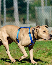 犬用ハーネス PERROS - 獣医師推奨ハーネス 犬の体に負担が少ない｜ペット用首輪・ハーネス　大型犬