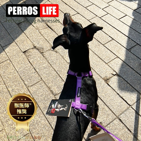 Dog Harness PERROS Harness H type Evolution of Y type harness (ultra small dog, medium size dog, large dog) 