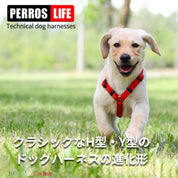 犬ハーネス PERROS - テクニカルハーネス ゴールドカラー | 首を通さず簡単装着｜犬用ハーネス