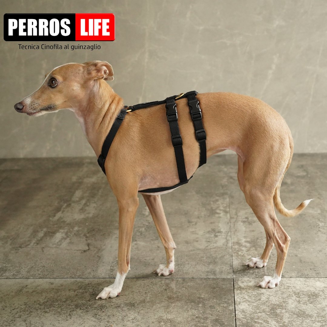 犬用ハーネス PERROS - ドピアッカハーネス 胸深く腹部細い犬/グレーハウンド用 脱走防止｜ペット用ハーネス