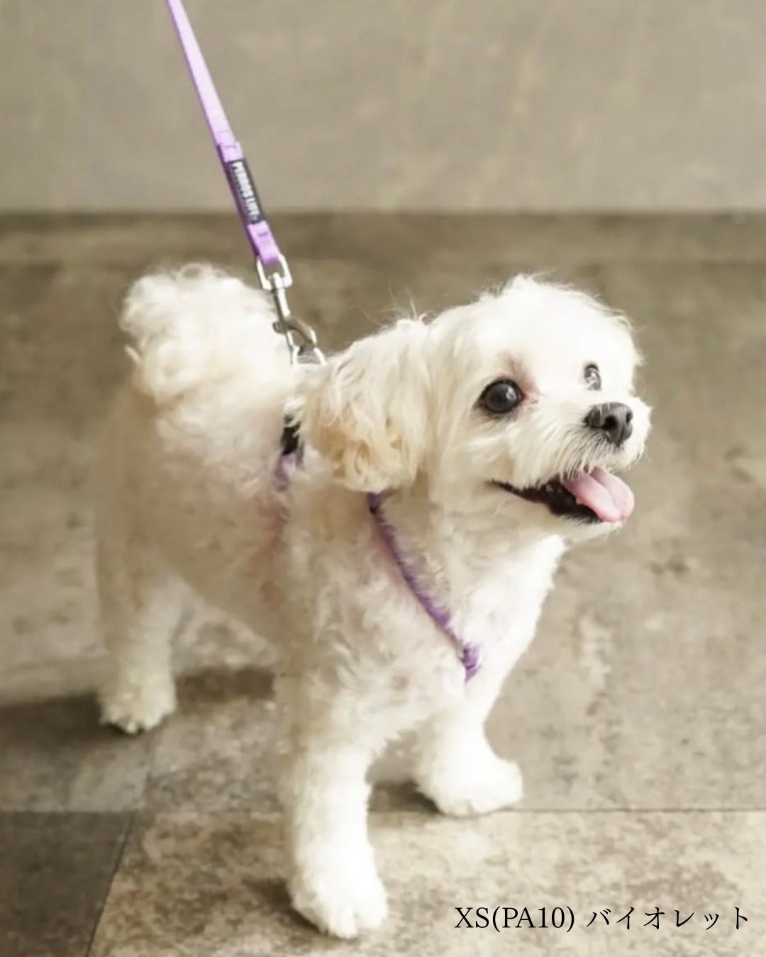 犬用ハーネス PERROS - 獣医師推奨 信頼のペルロスハーネス｜ペット用首輪・ハーネス｜犬用ハーネス PERROS - 獣医師推奨 信頼のペルロスハーネス