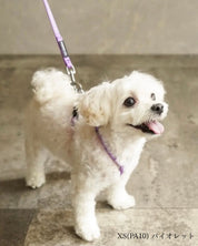 犬用ハーネス PERROS - 獣医師推奨 信頼のペルロスハーネス｜ペット用首輪・ハーネス｜犬用ハーネス PERROS - 獣医師推奨 信頼のペルロスハーネス