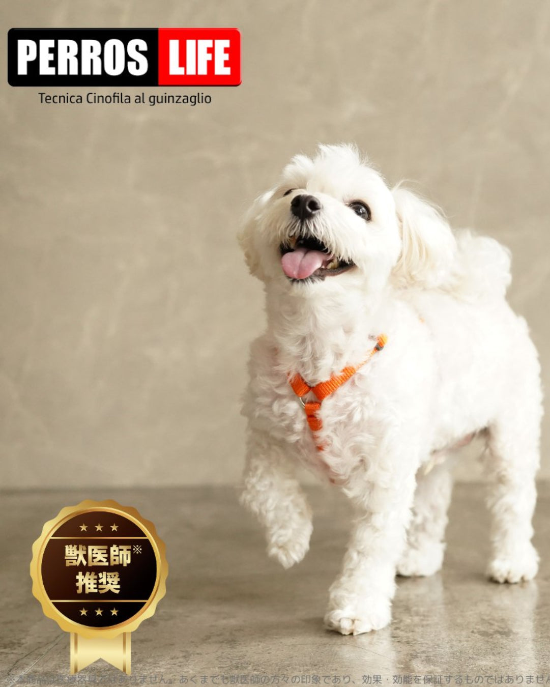 犬用ハーネス ペルロスハーネス、首や体に負担をかけない犬用ハーネス ペルロス公式