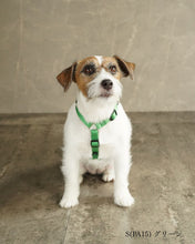 犬用ハーネス PERROS - 獣医師推奨 信頼のペルロスハーネス｜ペット用首輪・ハーネス｜犬用ハーネス PERROS - 獣医師推奨 信頼のペルロスハーネス