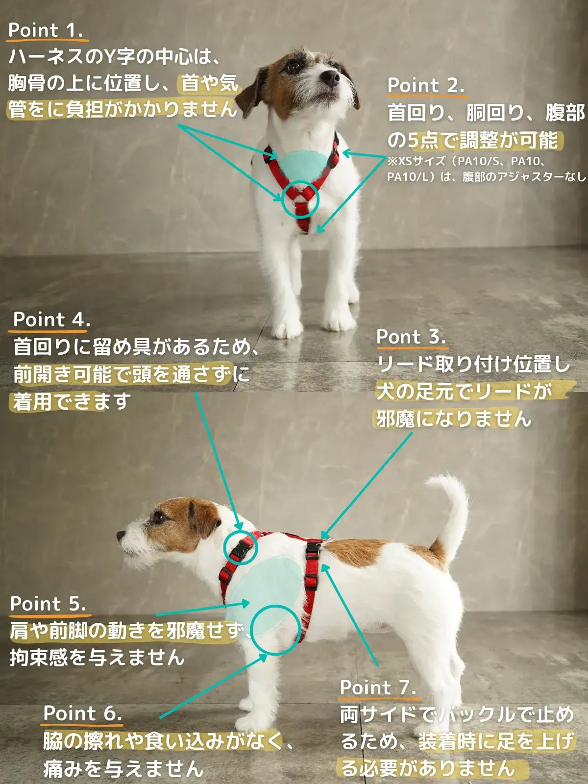 犬用ハーネス PERROS｜獣医師推奨｜犬の体に痛みを与えにくくフィット