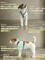 犬用ハーネス PERROS - 獣医師推奨 信頼のペルロスハーネス｜ペット用首輪・ハーネス｜犬用ハーネス PERROS - 獣医師推奨 信頼のペルロスハーネス