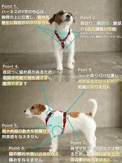 犬用ハーネス PERROS - 獣医師推奨 信頼のペルロスハーネス｜ペット用首輪・ハーネス｜犬用ハーネス PERROS - 獣医師推奨 信頼のペルロスハーネス