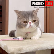猫用首輪 PERROS - 安全でスタイリッシュ首輪｜ペット・ペット用品>ペット用品>ペット用首輪・ハーネス｜猫用首輪 PERROS - 安全でスタイリッシュな猫用首輪 | 高品質 おしゃれカラー | テレビ出演