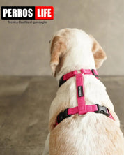 犬用ハーネス PERROS - 獣医師推奨ハーネス 犬の体に負担が少ない｜ペット用首輪・ハーネス　ビーグル