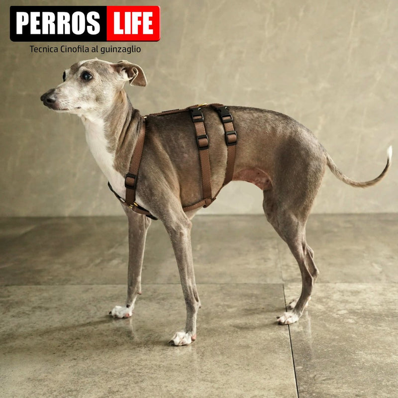 犬用ハーネス PERROS - ドピアッカハーネス 胸深く腹部細い犬/グレーハウンド用｜ペット用首輪・ハーネス