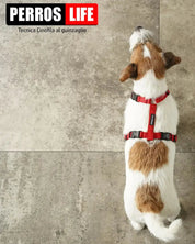 犬用ハーネス PERROS - 獣医師推奨ハーネス 犬の体に負担が少ない｜ペット用首輪・ハーネス　ジャックラッセル