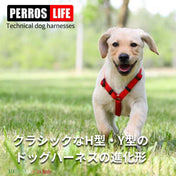 犬ハーネス PERROS - テクニカルハーネス パラキートグリーンカラー | 首を通さず簡単装着｜犬用ハーネス｜PERROS(ペルロス) ハーネス パラキートグリーンカラー - Alice's Dog & Catproduct_type