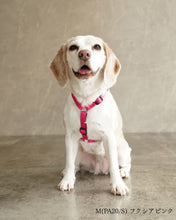 犬用ハーネス PERROS - 獣医師推奨 信頼のペルロスハーネス｜ペット用首輪・ハーネス｜犬用ハーネス PERROS - 獣医師推奨 信頼のペルロスハーネス
