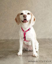 犬用ハーネス PERROS - 獣医師推奨 信頼のペルロスハーネス｜ペット用首輪・ハーネス｜犬用ハーネス PERROS - 獣医師推奨 信頼のペルロスハーネス