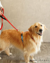 犬用ハーネス PERROS - 獣医師推奨 信頼のペルロスハーネス｜ペット用首輪・ハーネス｜犬用ハーネス PERROS - 獣医師推奨 信頼のペルロスハーネス