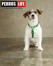 犬用ハーネス PERROS - 獣医師推奨ハーネス 犬の体に負担が少ない｜ペット用首輪・ハーネス　小型犬