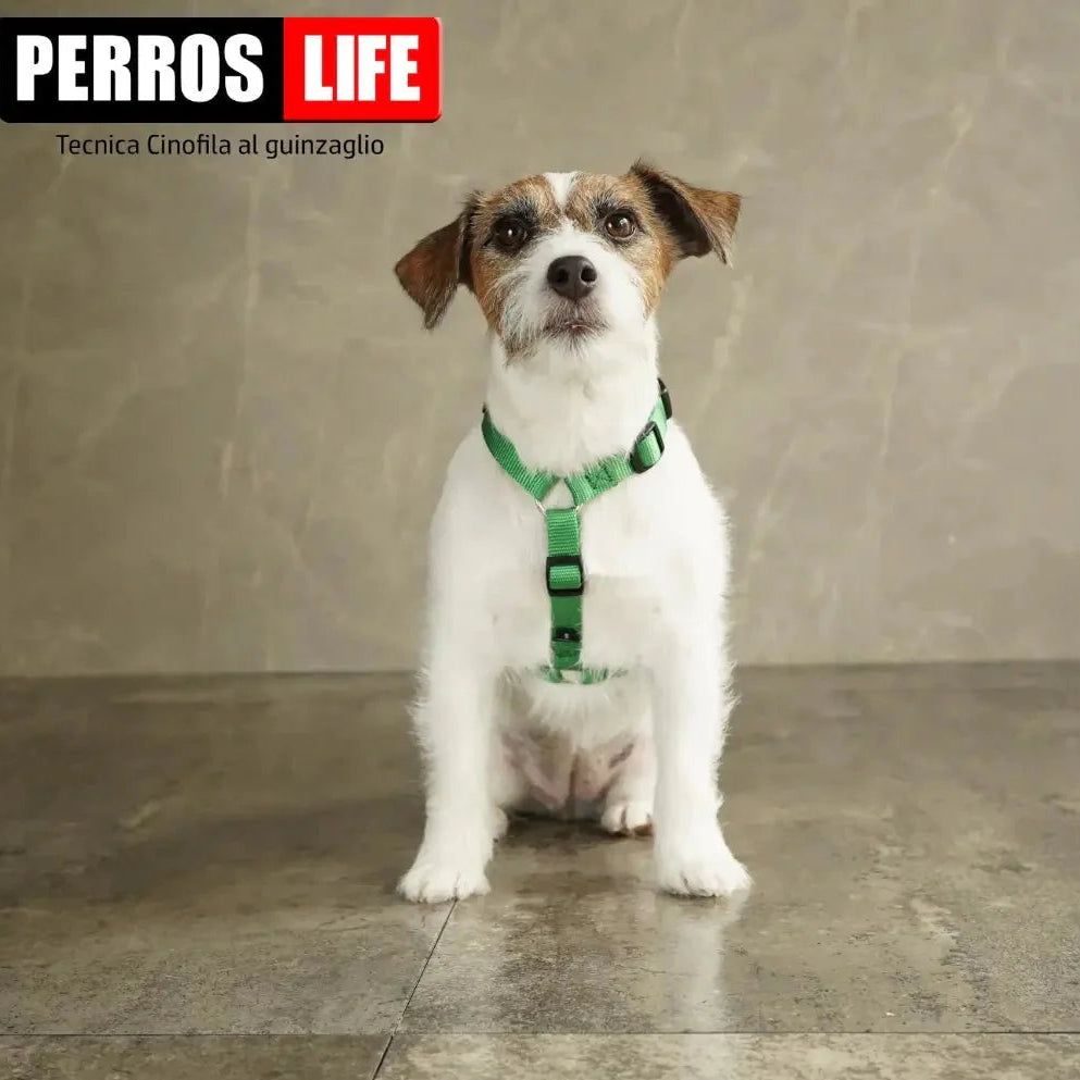 2. 【皮膚トラブル防止】