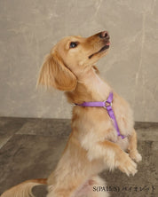 犬用ハーネス PERROS - 獣医師推奨 信頼のペルロスハーネス｜ペット用首輪・ハーネス｜犬用ハーネス PERROS - 獣医師推奨 信頼のペルロスハーネス