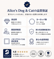 犬用 PERROS - 車用シートベルトリーシュ｜ペット用リード｜犬用 PERROS - 車用シートベルトリーシュ