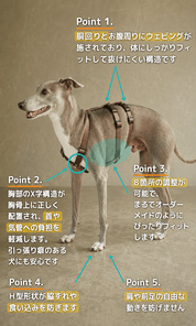 犬用ハーネス PERROS - 胸深く腹部細い犬用ドピアッカハーネス｜ペット用首輪・ハーネス｜犬用ハーネス PERROS - 胸深く腹部細い犬用ドピアッカハーネス