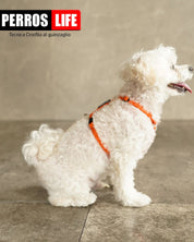 犬用ハーネス PERROS - 獣医師推奨ペルロスハーネス｜ペット用首輪・ハーネス｜脇スレない