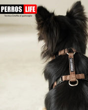 犬用ハーネス PERROS - 獣医師推奨ハーネス 犬の体に負担が少ない｜ペット用首輪・ハーネス　ロングチワワ