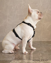 犬用ハーネス PERROS - 獣医師推奨 信頼のペルロスハーネス｜ペット用首輪・ハーネス｜犬用ハーネス PERROS - 獣医師推奨 信頼のペルロスハーネス