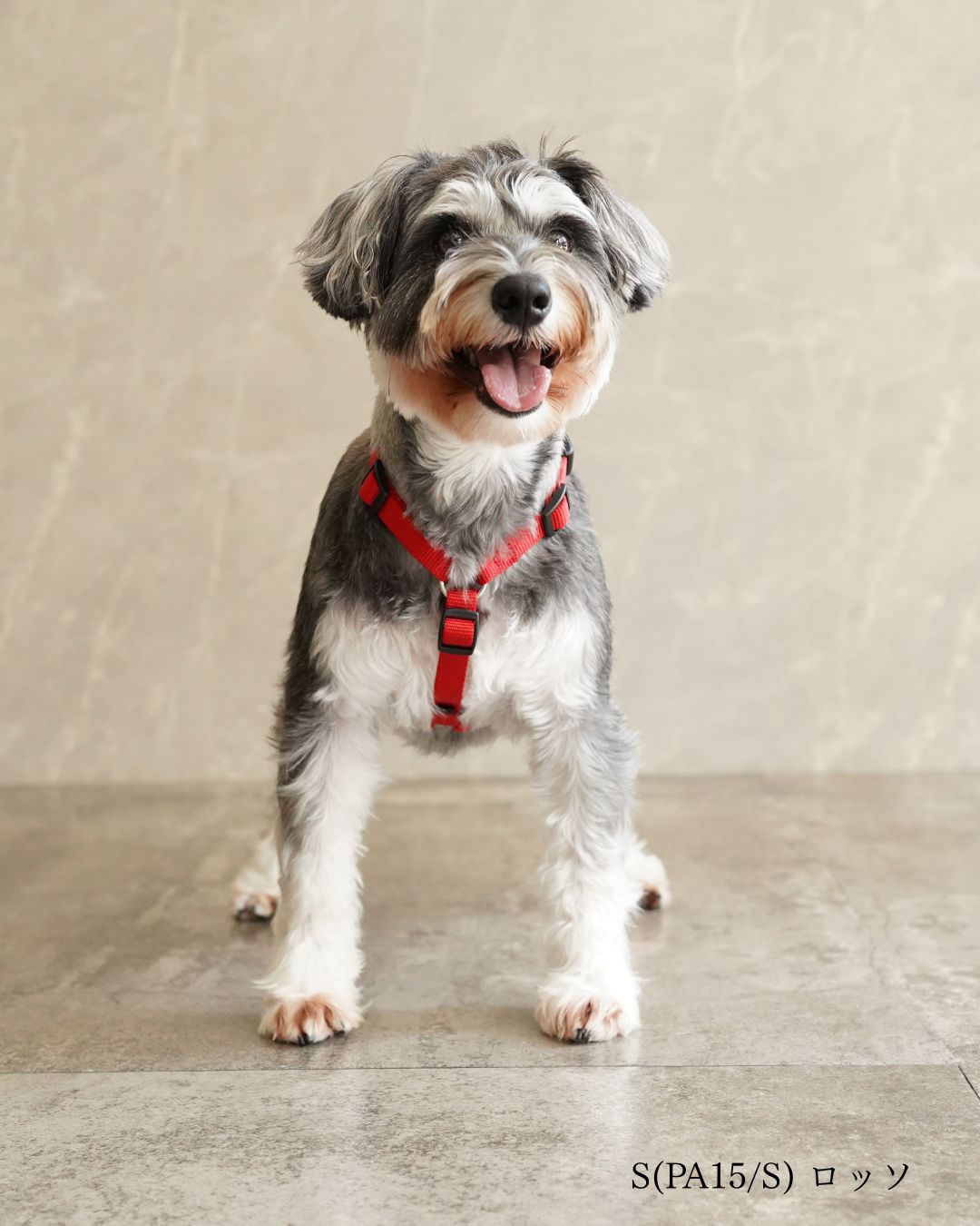 犬用ハーネス PERROS - 獣医師推奨 信頼のペルロスハーネス｜ペット用首輪・ハーネス｜犬用ハーネス PERROS - 獣医師推奨 信頼のペルロスハーネス