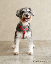 犬用ハーネス PERROS - 獣医師推奨 信頼のペルロスハーネス｜ペット用首輪・ハーネス｜犬用ハーネス PERROS - 獣医師推奨 信頼のペルロスハーネス