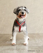 犬用ハーネス PERROS - 獣医師推奨 信頼のペルロスハーネス｜ペット用首輪・ハーネス｜犬用ハーネス PERROS - 獣医師推奨 信頼のペルロスハーネス