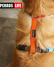 犬用ハーネス PERROS - 獣医師推奨ハーネス 犬の体に負担が少ない｜ペット用首輪・ハーネス　脇に食い込みにくい