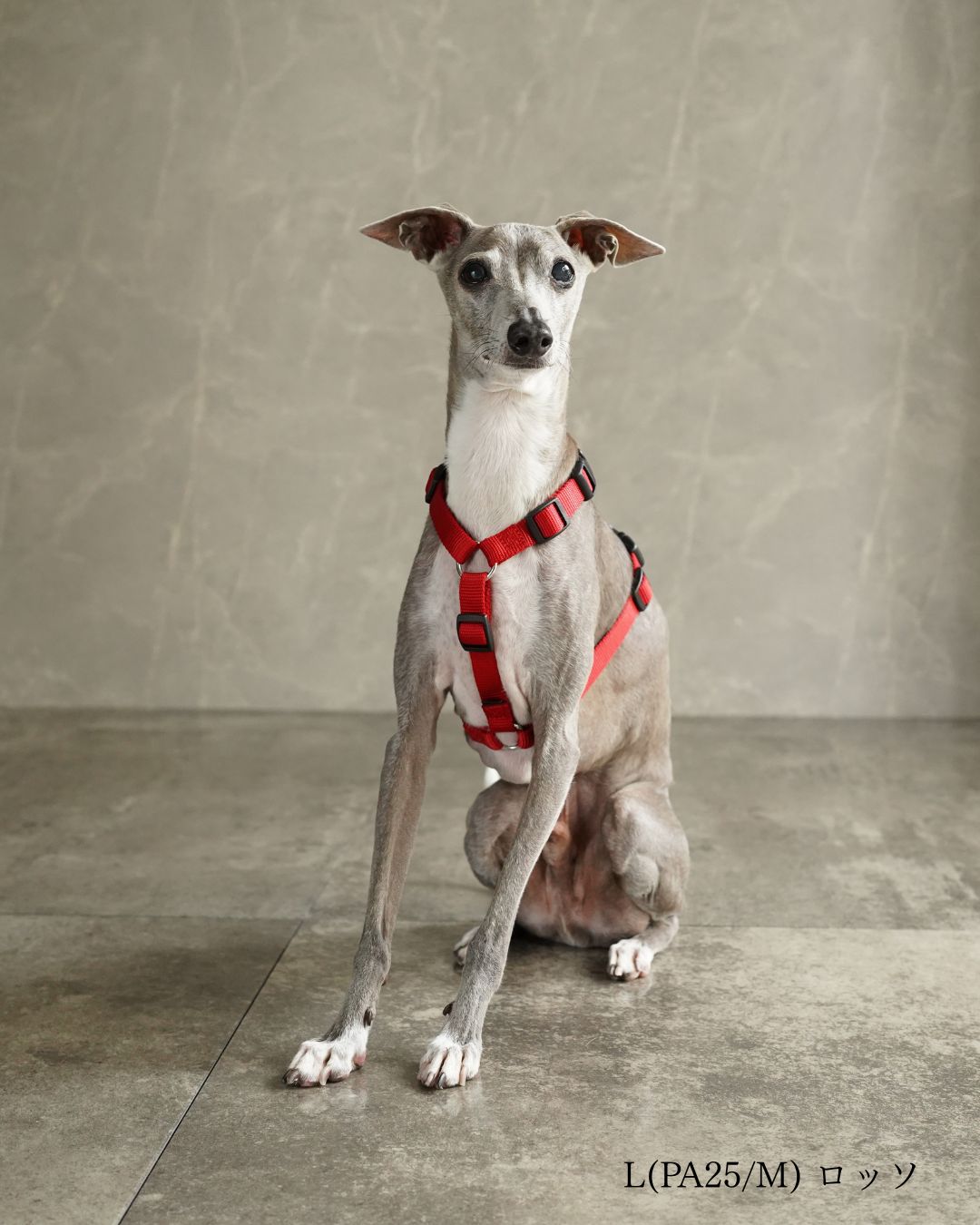 犬用ハーネス PERROS - 獣医師推奨 信頼のペルロスハーネス｜ペット用首輪・ハーネス｜犬用ハーネス PERROS - 獣医師推奨 信頼のペルロスハーネス