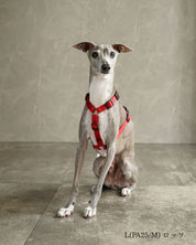 犬用ハーネス PERROS - 獣医師推奨 信頼のペルロスハーネス｜ペット用首輪・ハーネス｜犬用ハーネス PERROS - 獣医師推奨 信頼のペルロスハーネス