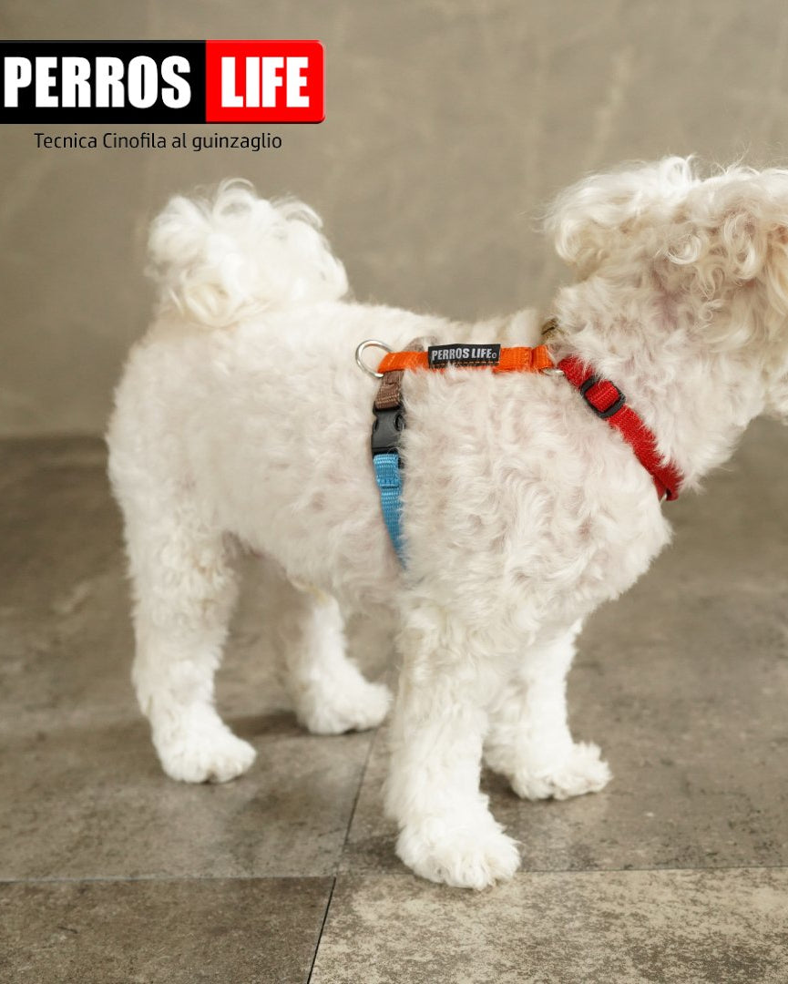 犬用ハーネス PERROS - 獣医師推奨ハーネス 犬の体に負担が少ない｜ペット用首輪・ハーネス　おしゃれカラー