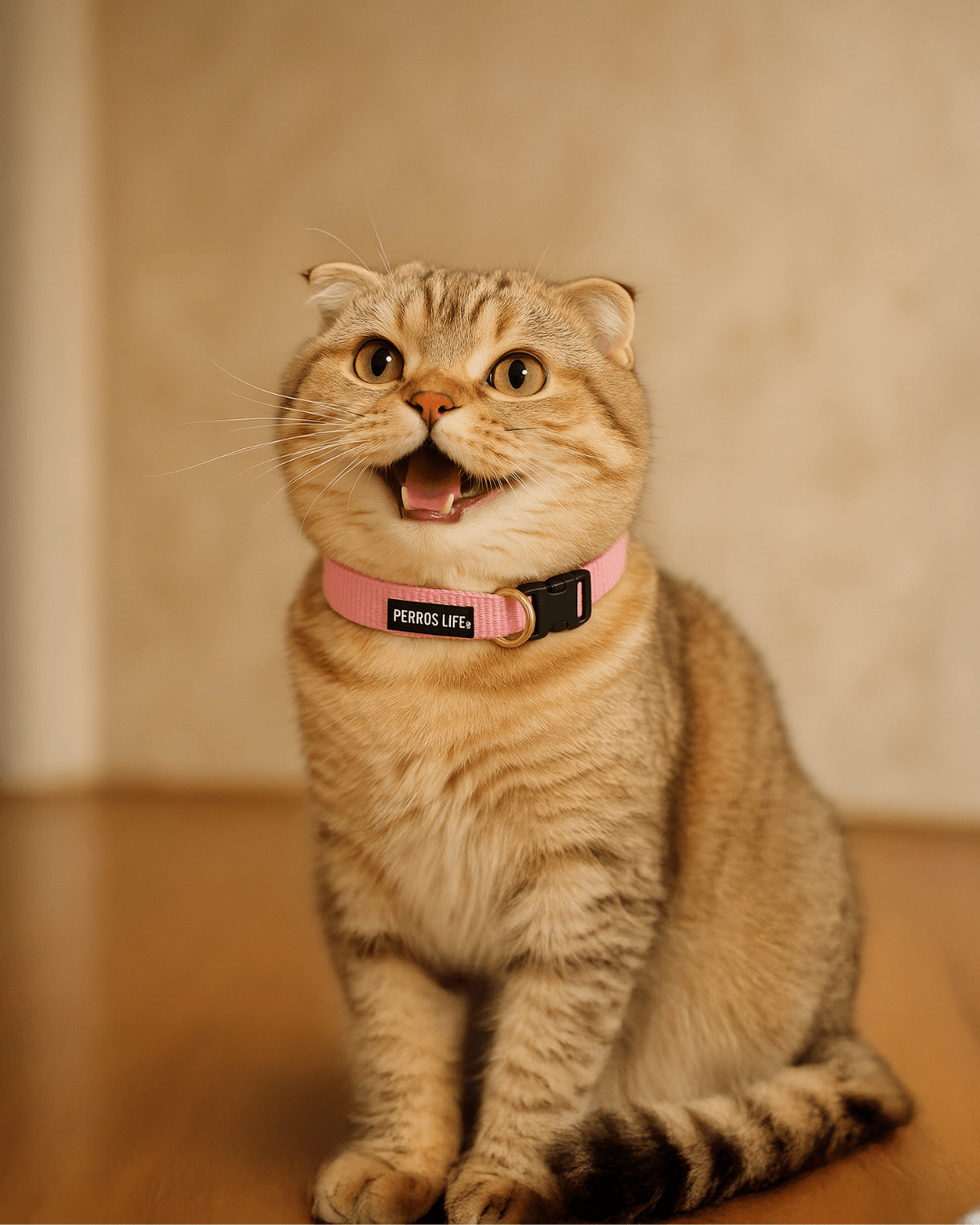猫用首輪 PERROS - 安全でスタイリッシュ首輪｜ペット・ペット用品>ペット用品>ペット用首輪・ハーネス