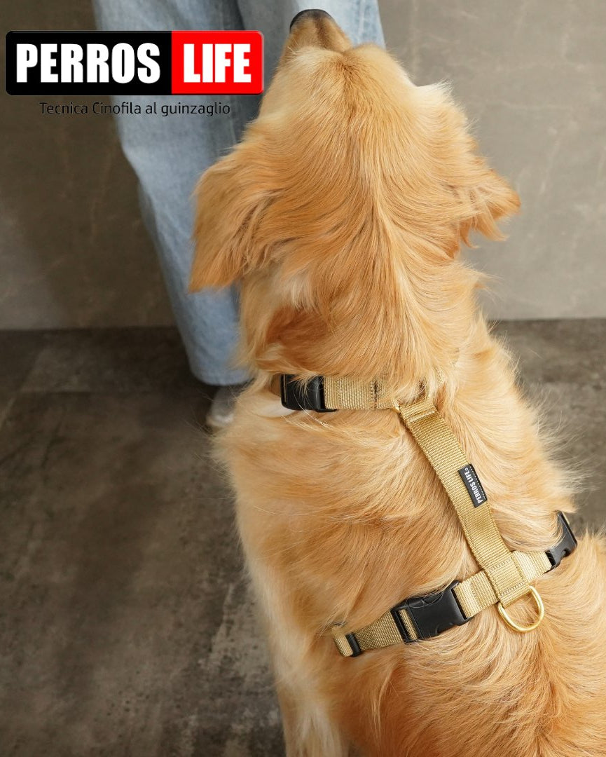 犬用ハーネス PERROS ブラック(BLK) XS Amazon | 犬用ハーネス 超小型犬用【PERROS ペルロスハーネスXS(PA10/S